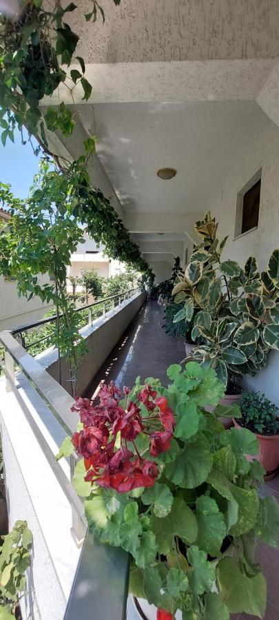 Villa Madani Дуррес Екстер'єр фото